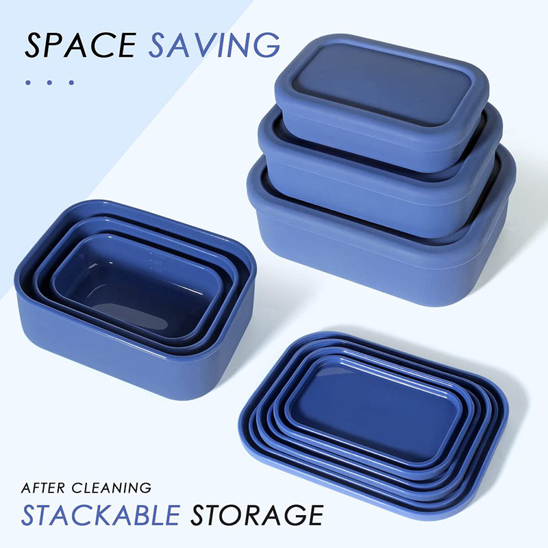 Leak-Resistant Bento Lunch Box - Meal Prep Lunch Boxes recensie en prijs