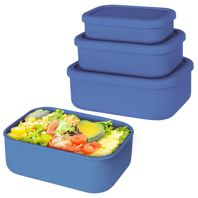 Leak-Resistant Bento Lunch Box - Meal Prep Lunch Boxes recensie en prijs