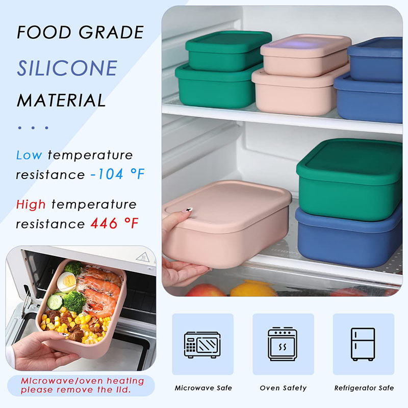 Leak-Resistant Bento Lunch Box - Meal Prep Lunch Boxes recensie en prijs